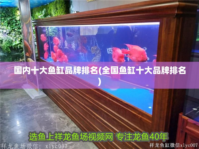 國內十大魚缸品牌排名(全國魚缸十大品牌排名) 國內十大魚缸品牌排名(全國魚缸十大品牌排名) 元寶鳳凰魚百科 第1張