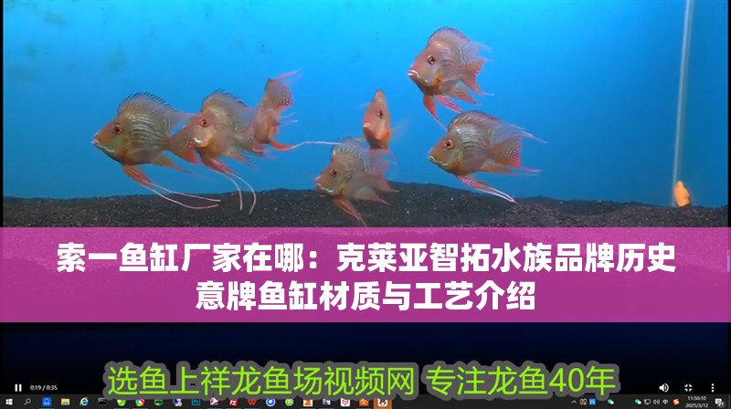 索一魚缸廠家在哪：克萊亞智拓水族品牌歷史意牌魚缸材質與工藝介紹