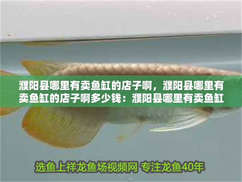 濮陽縣哪里有賣魚缸的店子啊，濮陽縣哪里有賣魚缸的店子啊多少錢：濮陽縣哪里有賣魚缸的店子