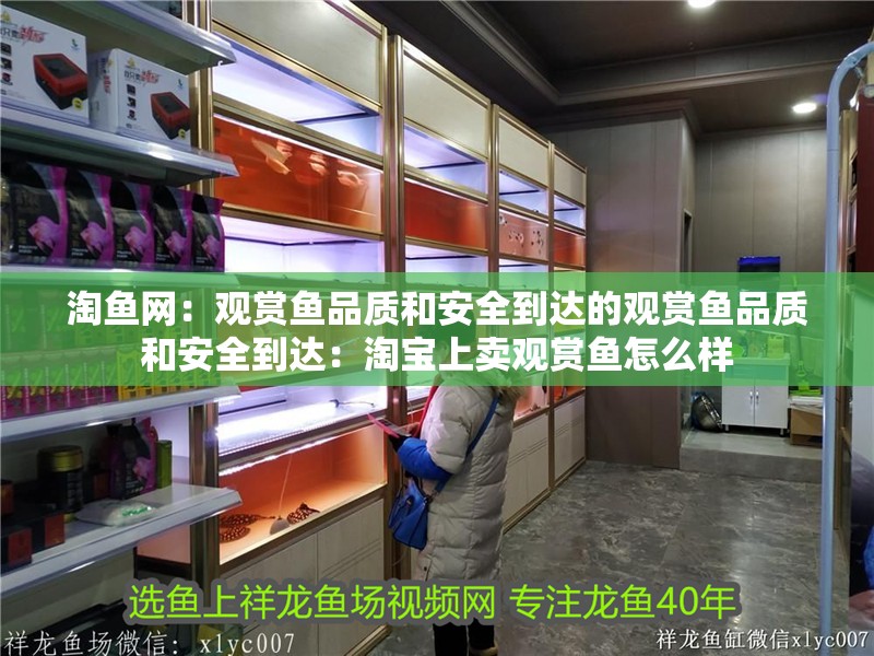 淘魚網：觀賞魚品質和安全到達的觀賞魚品質和安全到達：淘寶上賣觀賞魚怎么樣