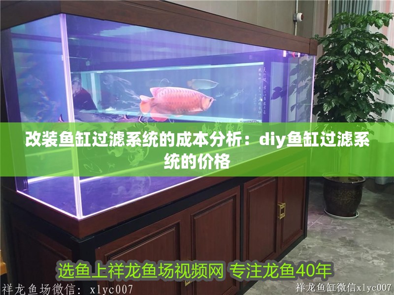 改裝魚缸過濾系統的成本分析：diy魚缸過濾系統的價格