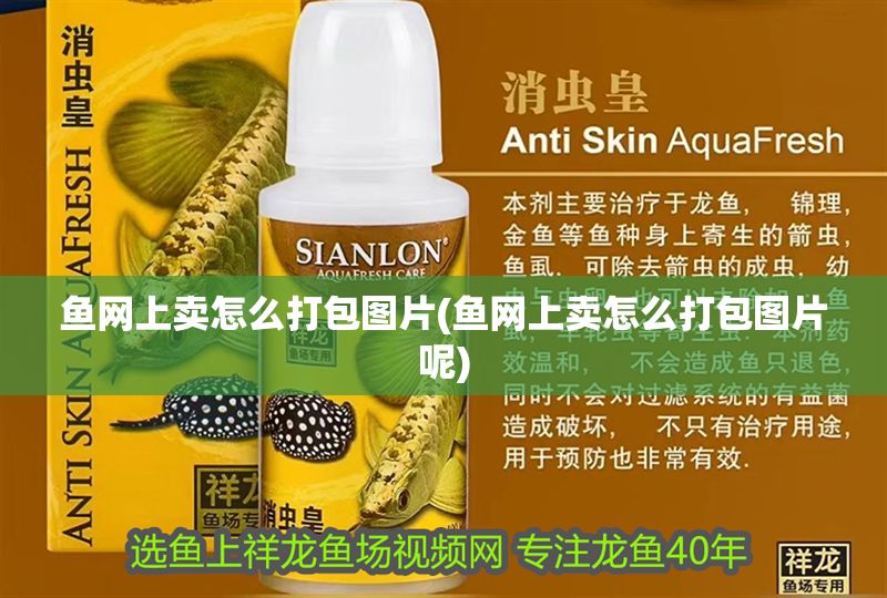 魚網上賣怎么打包圖片(魚網上賣怎么打包圖片呢) 魚網上賣怎么打包圖片(魚網上賣怎么打包圖片呢) 錦鯉魚百科 第1張