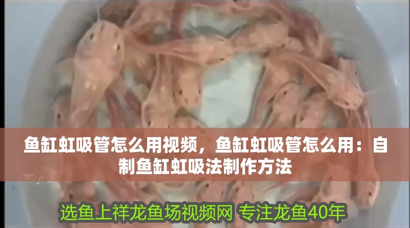 魚缸虹吸管怎么用視頻，魚缸虹吸管怎么用：自制魚缸虹吸法制作方法