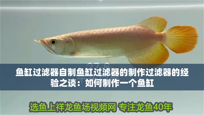魚缸過濾器自制魚缸過濾器的制作過濾器的經驗之談：如何制作一個魚缸