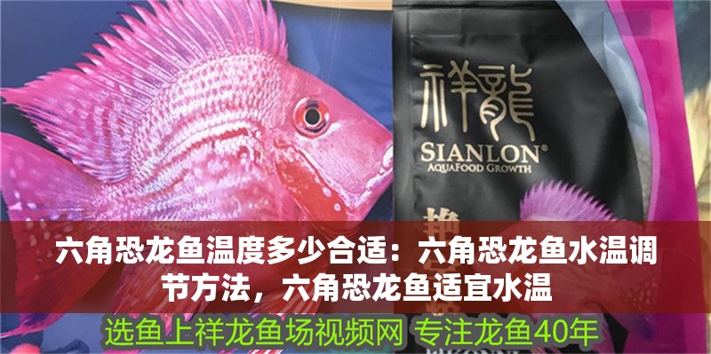 六角恐龍魚溫度多少合適：六角恐龍魚水溫調節方法，六角恐龍魚適宜水溫 六角恐龍魚溫度多少合適：六角恐龍魚水溫調節方法，六角恐龍魚適宜水溫 龍魚百科