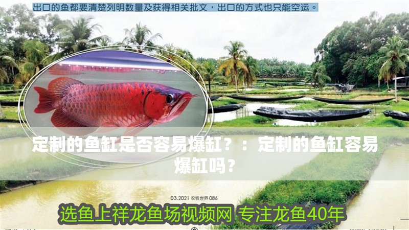定制的魚缸是否容易爆缸？：定制的魚缸容易爆缸嗎？
