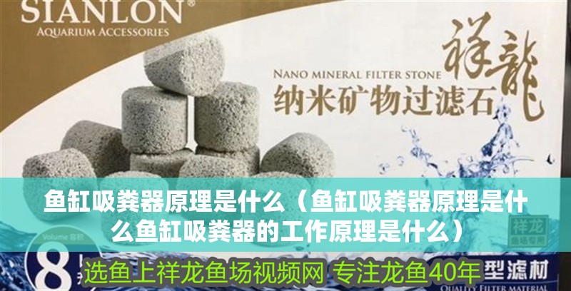 魚缸吸糞器原理是什么（魚缸吸糞器原理是什么魚缸吸糞器的工作原理是什么）