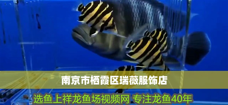 南京市棲霞區瑞薇服飾店 南京市棲霞區瑞薇服飾店 全國水族館企業名錄