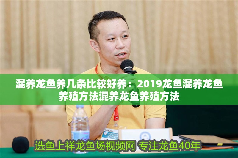 混養龍魚養幾條比較好養：2019龍魚混養龍魚養殖方法混養龍魚養殖方法