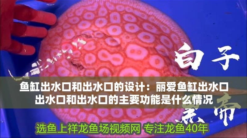魚缸出水口和出水口的設計：麗愛魚缸出水口出水口和出水口的主要功能是什么情況