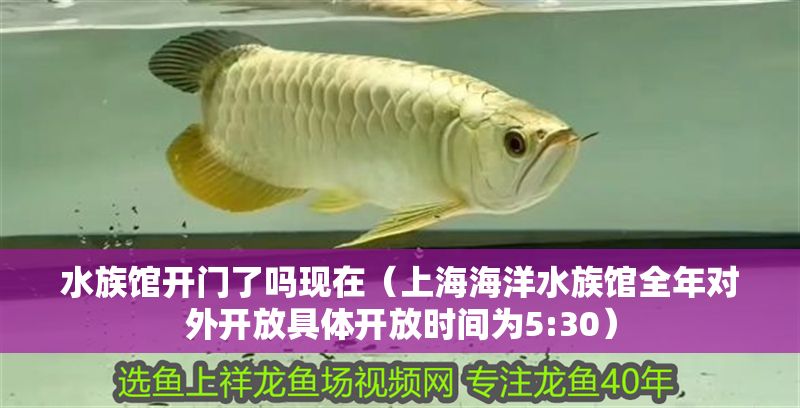 水族館開門了嗎現(xiàn)在（上海海洋水族館全年對外開放具體開放時間為5:30）