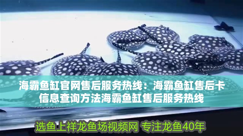 海霸魚缸官網售后服務熱線：海霸魚缸售后卡信息查詢方法海霸魚缸售后服務熱線 海霸魚缸官網售后服務熱線：海霸魚缸售后卡信息查詢方法海霸魚缸售后服務熱線 魚缸百科