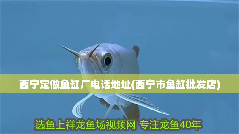 西寧定做魚缸廠電話地址(西寧市魚缸批發(fā)店)