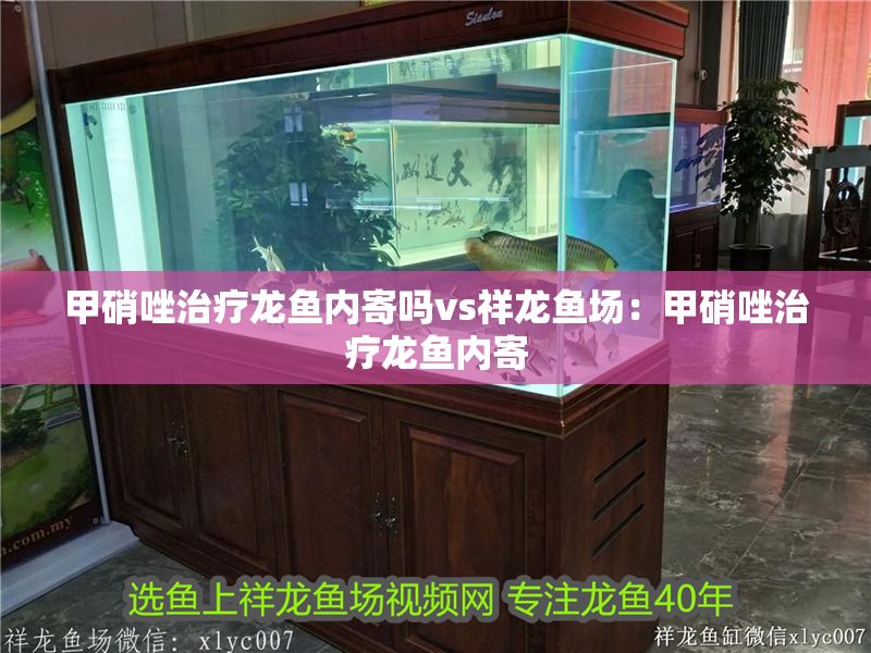 甲硝唑治療龍魚內寄嗎vs祥龍魚場：甲硝唑治療龍魚內寄 甲硝唑治療龍魚內寄嗎vs祥龍魚場：甲硝唑治療龍魚內寄 vs祥龍魚場 第1張