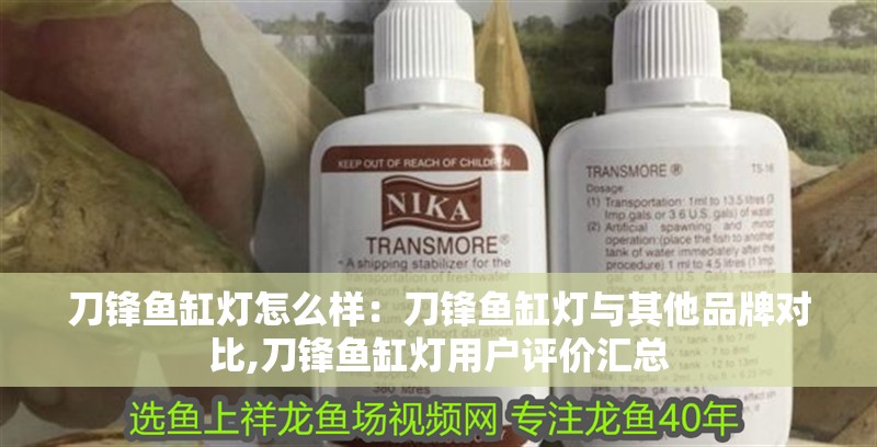 刀鋒魚缸燈怎么樣：刀鋒魚缸燈與其他品牌對比,刀鋒魚缸燈用戶評價匯總