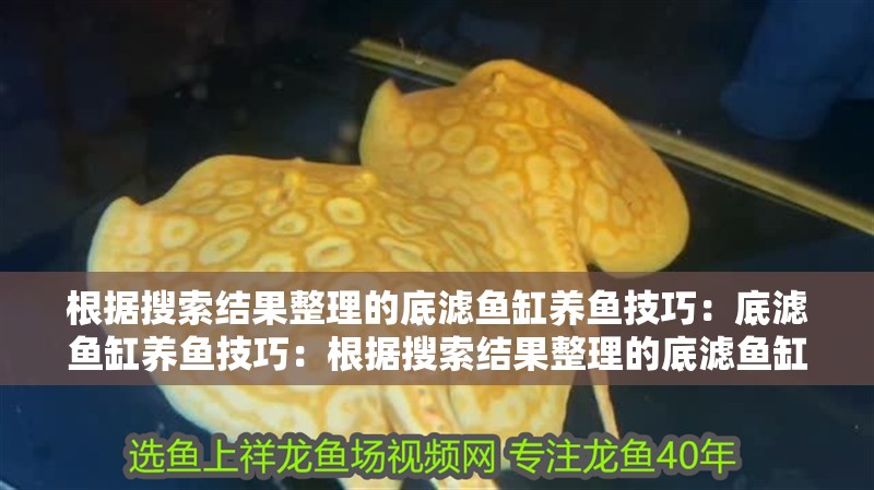 根據(jù)搜索結(jié)果整理的底濾魚缸養(yǎng)魚技巧：底濾魚缸養(yǎng)魚技巧：根據(jù)搜索結(jié)果整理的底濾魚缸養(yǎng)魚