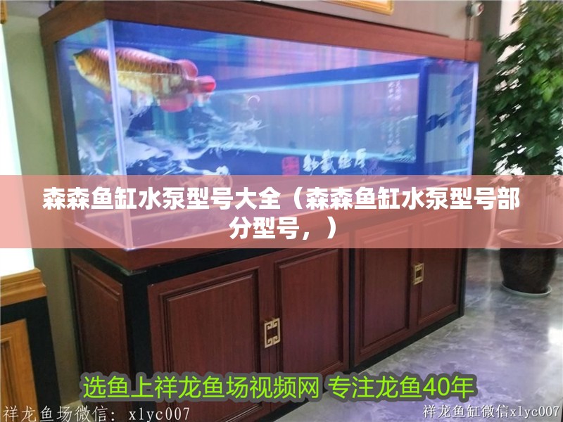 森森魚缸水泵型號大全（森森魚缸水泵型號部分型號，）
