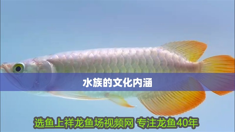 水族的文化內涵