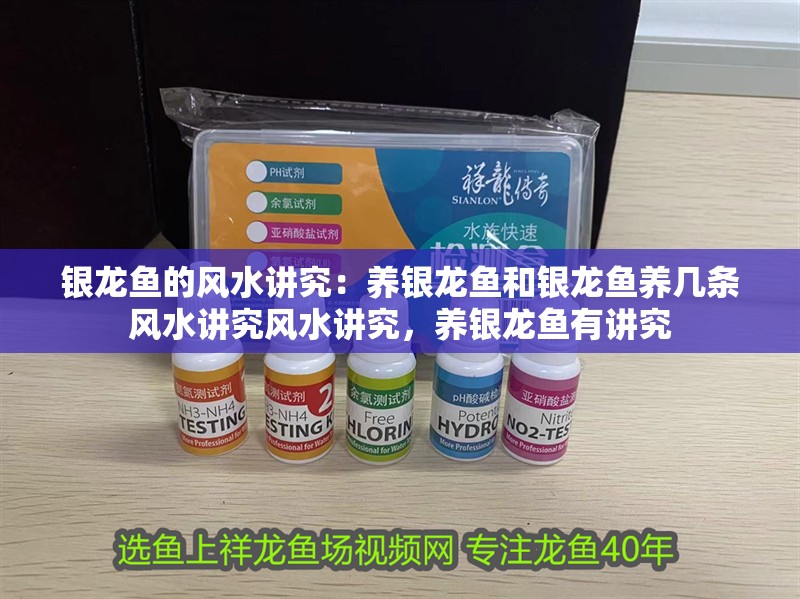 銀龍魚的風水講究：養銀龍魚和銀龍魚養幾條風水講究風水講究，養銀龍魚有講究