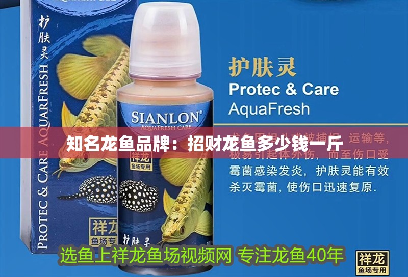 知名龍魚(yú)品牌：招財(cái)龍魚(yú)多少錢(qián)一斤