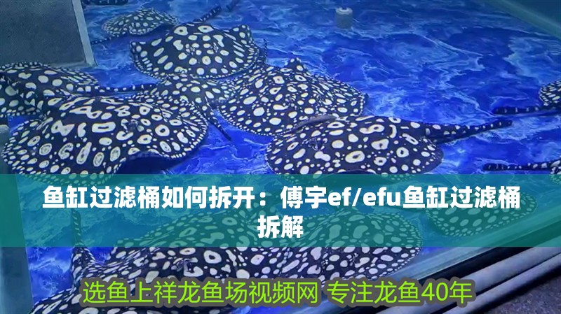 魚缸過濾桶如何拆開：傅宇ef/efu魚缸過濾桶拆解
