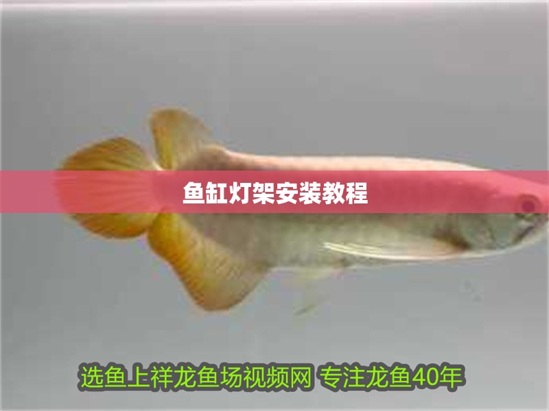 魚(yú)缸燈架安裝教程