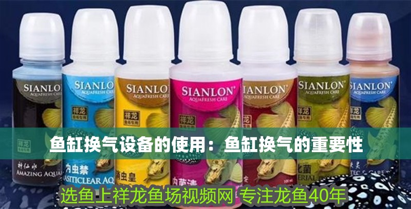 魚缸換氣設備的使用：魚缸換氣的重要性 魚缸換氣設備的使用：魚缸換氣的重要性 魚缸百科