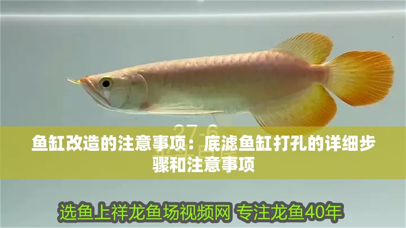 鸚鵡魚和銀龍魚混養怎樣喂食 魚缸改造的注意事項:底濾魚缸打孔的詳細步驟和注意事項 魚缸百科 魚缸改造的注意事項:底濾魚缸打孔的詳細步驟和注意事項 魚缸改造的注意事項:底濾魚缸打孔的詳細步驟和注意事項 魚缸百科