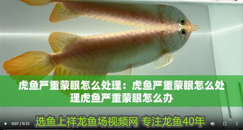 虎魚嚴重蒙眼怎么處理：虎魚嚴重蒙眼怎么處理虎魚嚴重蒙眼怎么辦