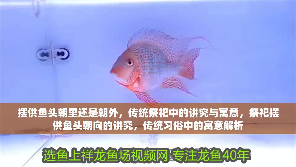 擺供魚頭朝里還是朝外，傳統(tǒng)祭祀中的講究與寓意，祭祀擺供魚頭朝向的講究，傳統(tǒng)習俗中的寓意解析