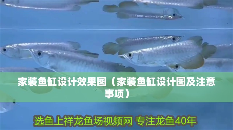 家裝魚缸設計效果圖（家裝魚缸設計圖及注意事項）