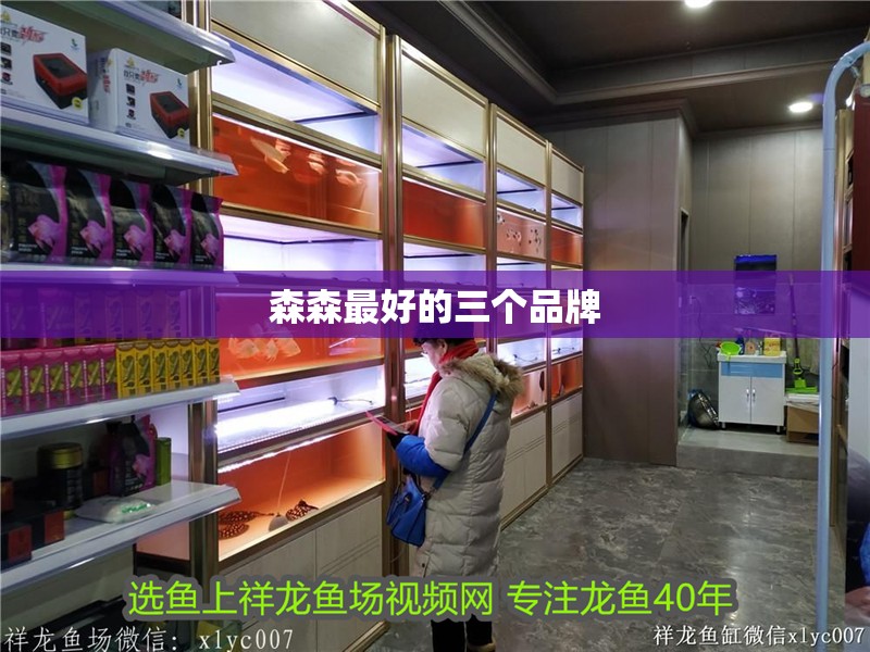 森森最好的三個品牌