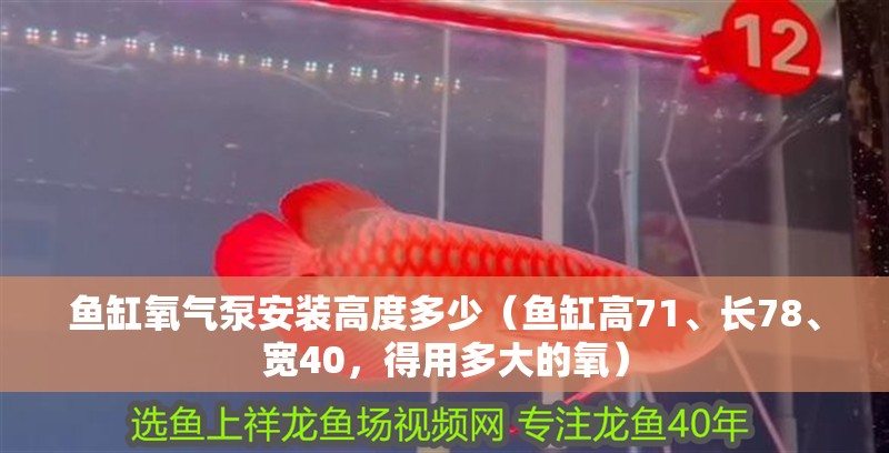 魚缸氧氣泵安裝高度多少（魚缸高71、長78、寬40，得用多大的氧） 魚缸氧氣泵安裝高度多少（魚缸高71、長78、寬40，得用多大的氧） 銀龍魚百科
