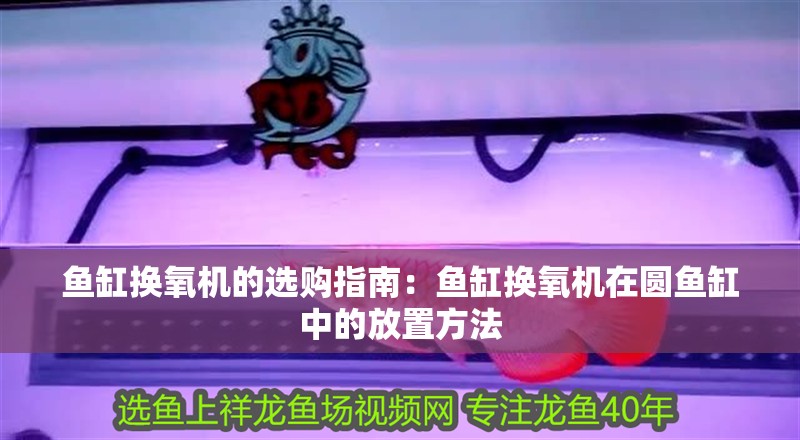魚(yú)缸換氧機(jī)的選購(gòu)指南：魚(yú)缸換氧機(jī)在圓魚(yú)缸中的放置方法