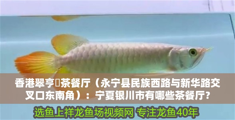 香港翠亨邨茶餐廳（永寧縣民族西路與新華路交叉口東南角）：寧夏銀川市有哪些茶餐廳？