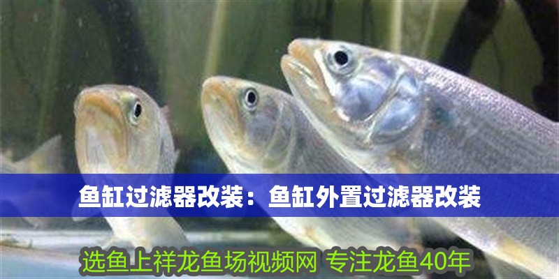魚缸過濾器改裝：魚缸外置過濾器改裝