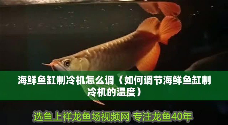 海鮮魚缸制冷機怎么調（如何調節海鮮魚缸制冷機的溫度）