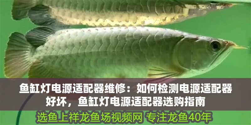 魚缸燈電源適配器維修：如何檢測(cè)電源適配器好壞，魚缸燈電源適配器選購指南