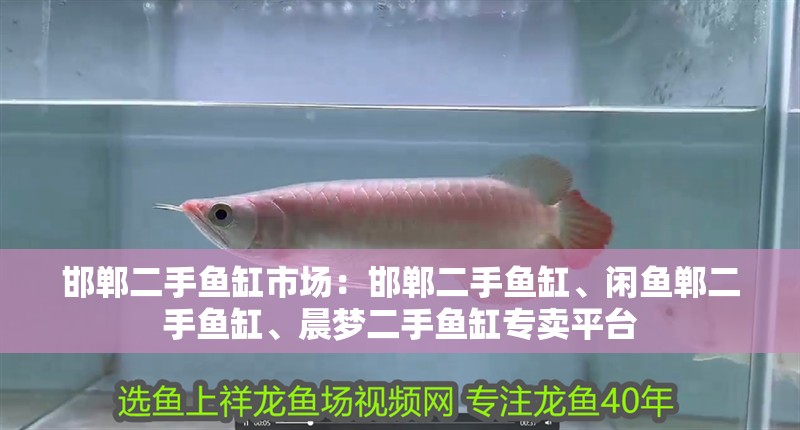 邯鄲二手魚(yú)缸市場(chǎng)：邯鄲二手魚(yú)缸、閑魚(yú)鄲二手魚(yú)缸、晨夢(mèng)二手魚(yú)缸專(zhuān)賣(mài)平臺(tái)