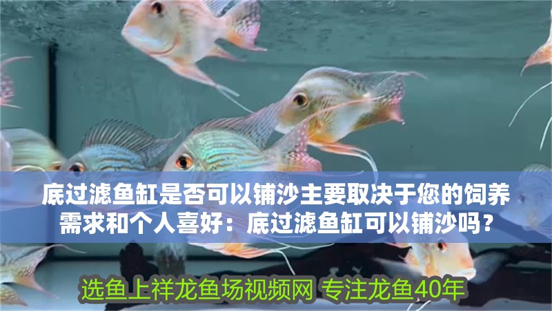 底過濾魚缸是否可以鋪沙主要取決于您的飼養(yǎng)需求和個人喜好：底過濾魚缸可以鋪沙嗎？