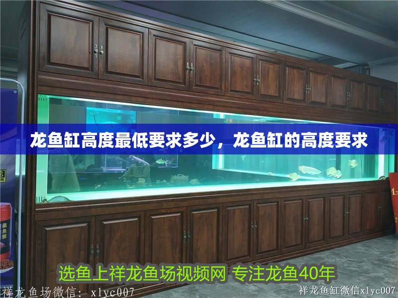 龍魚缸高度最低要求多少，龍魚缸的高度要求