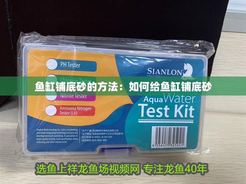 魚缸過濾器選購指南:自制魚缸過濾器魚缸上置過濾器對于養(yǎng)魚愛好者的必備知識 魚缸鋪底砂的方法:如何給魚缸鋪底砂 魚缸百科 魚缸鋪底砂的方法:如何給魚缸鋪底砂 魚缸鋪底砂的方法:如何給魚缸鋪底砂 魚缸百科