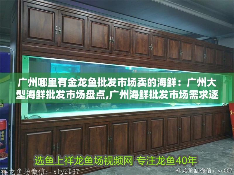 廣州哪里有金龍魚批發(fā)市場(chǎng)賣的海鮮：廣州大型海鮮批發(fā)市場(chǎng)盤點(diǎn),廣州海鮮批發(fā)市場(chǎng)需求逐年增加