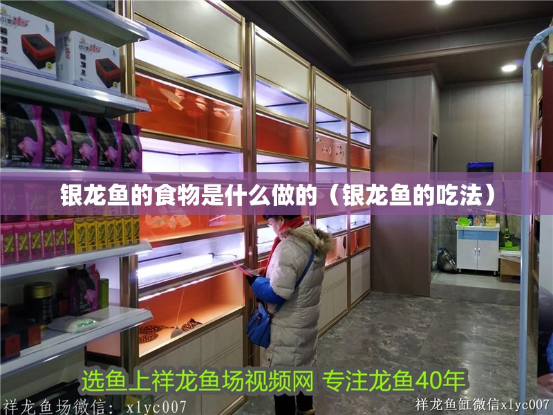 銀龍魚的食物是什么做的（銀龍魚的吃法）