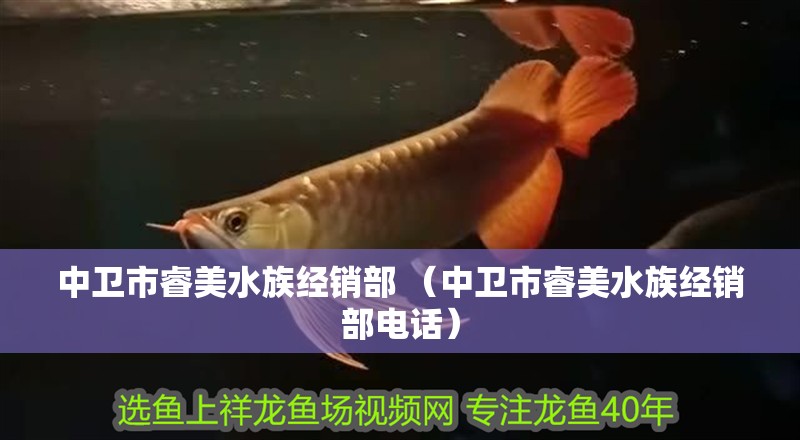 中衛(wèi)市睿美水族經(jīng)銷部 （中衛(wèi)市睿美水族經(jīng)銷部電話） 中衛(wèi)市睿美水族經(jīng)銷部 （中衛(wèi)市睿美水族經(jīng)銷部電話） 全國水族館企業(yè)名錄
