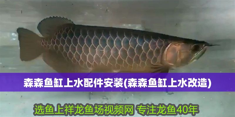 森森魚缸上水配件安裝(森森魚缸上水改造)