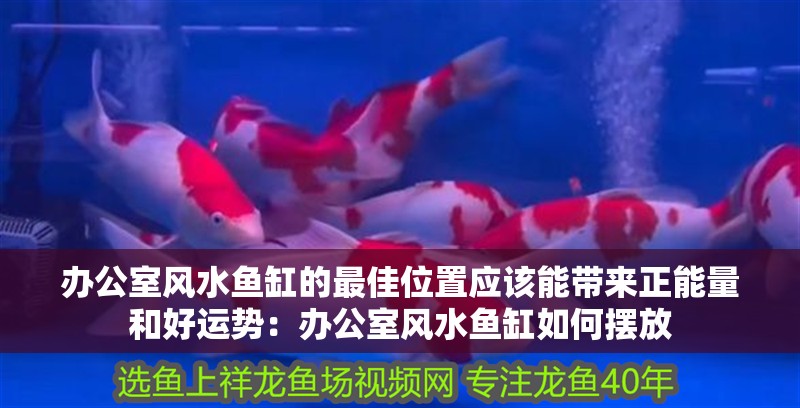 辦公室風(fēng)水魚缸的最佳位置應(yīng)該能帶來正能量和好運勢：辦公室風(fēng)水魚缸如何擺放