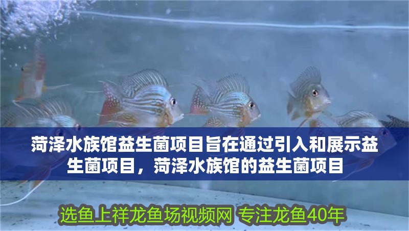 菏澤水族館益生菌項目旨在通過引入和展示益生菌項目，菏澤水族館的益生菌項目