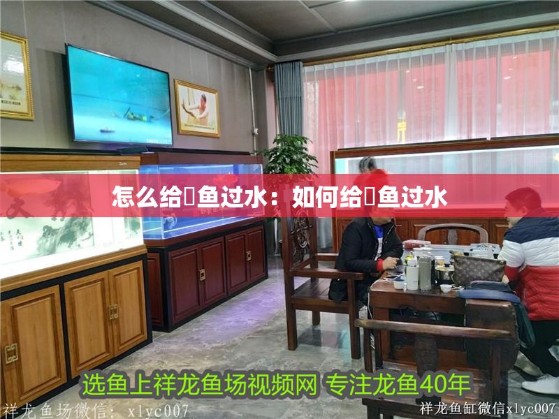 怎么給魟魚過水：如何給魟魚過水
