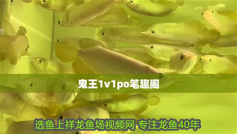 鬼王1v1po筆趣閣